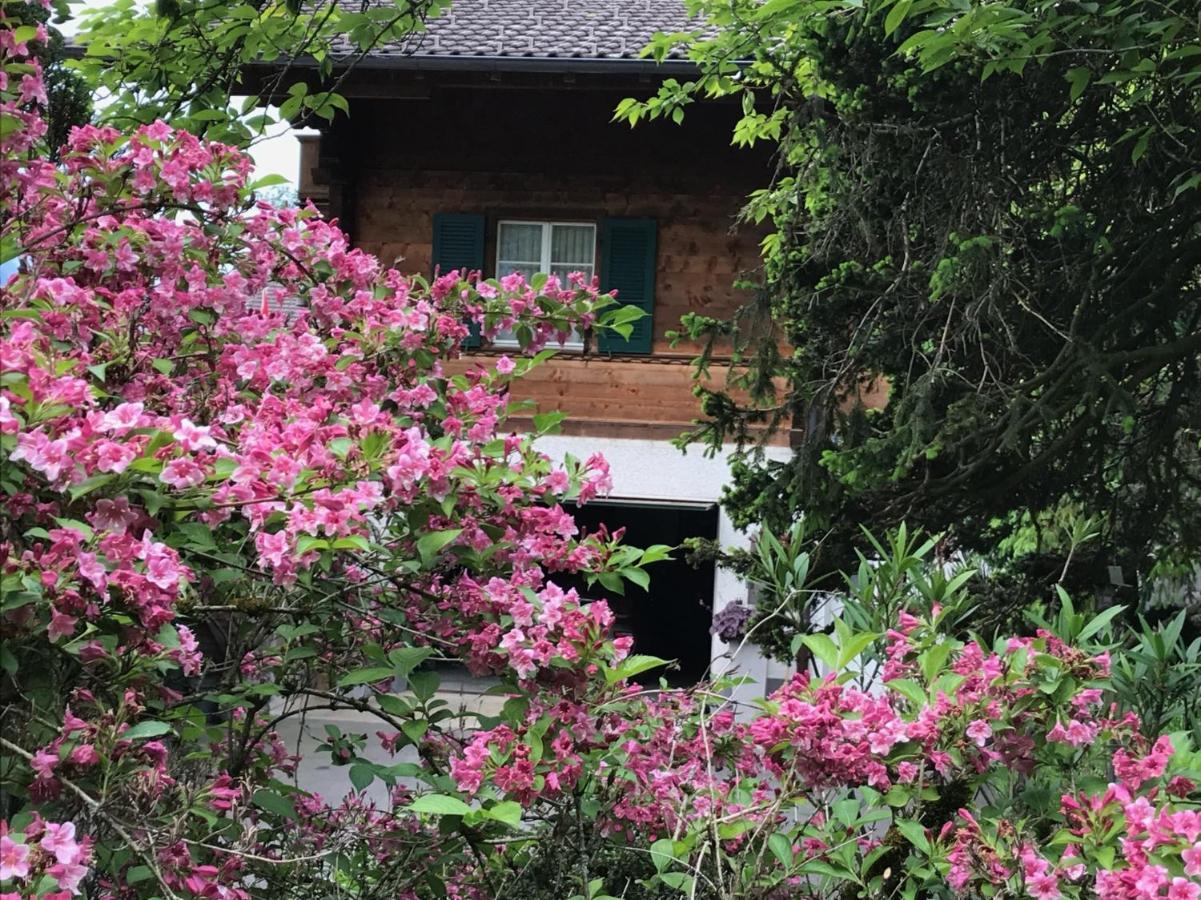 Chalet Rosemarie Ringgenberg Esterno foto