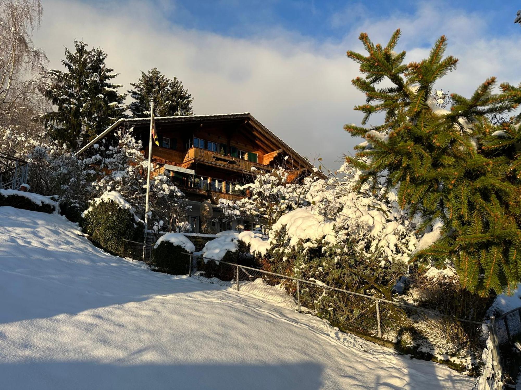Chalet Rosemarie Ringgenberg Esterno foto