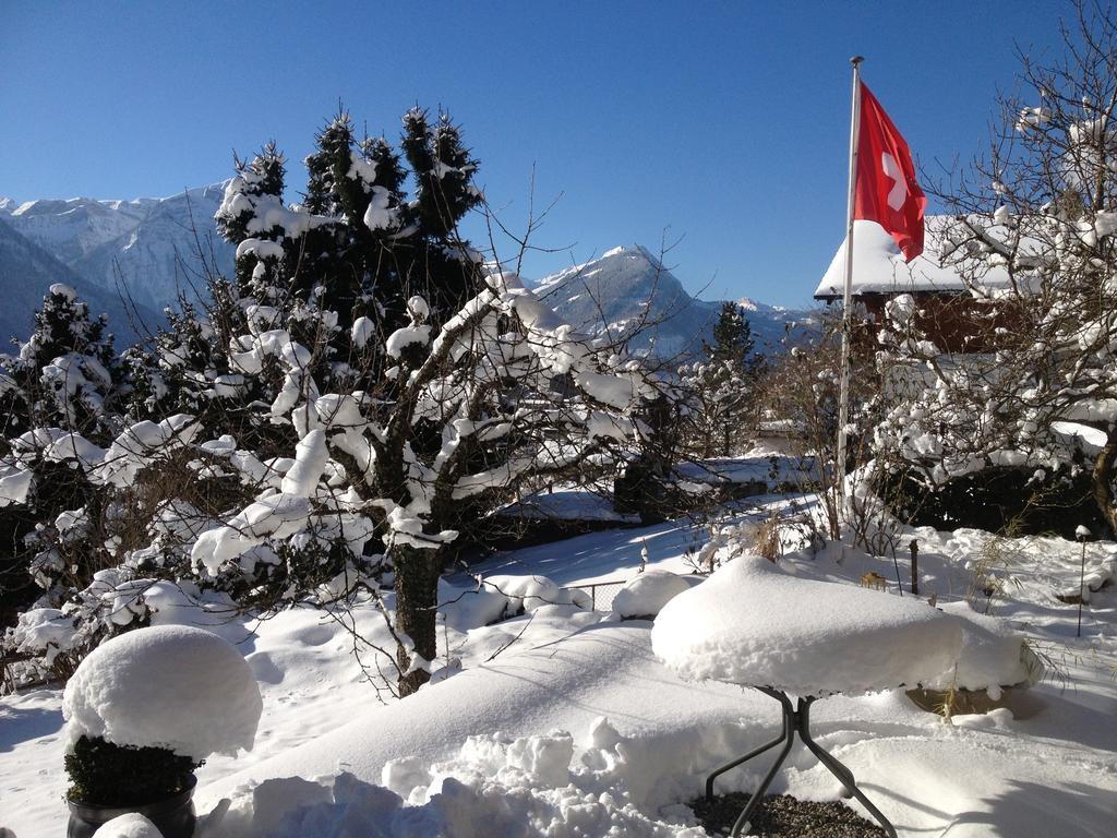 Chalet Rosemarie Ringgenberg Esterno foto